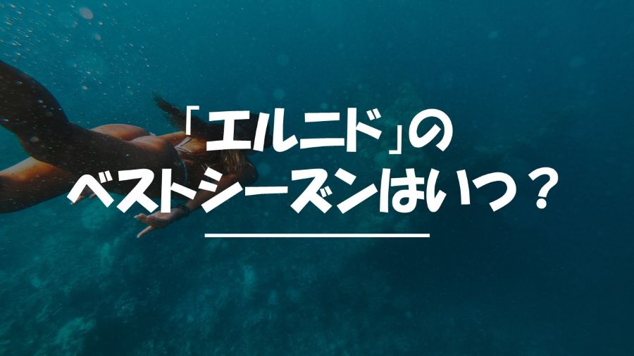 エルニド　ベストシーズン